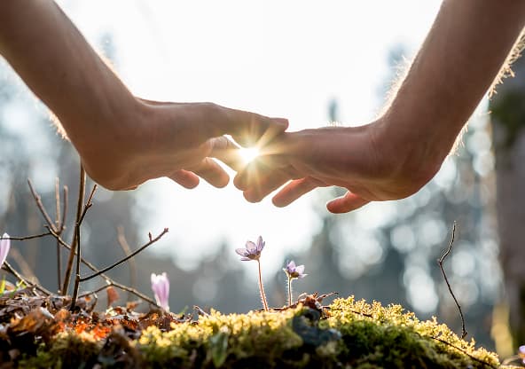 Maestría de Reiki